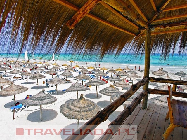 Joya Paradise